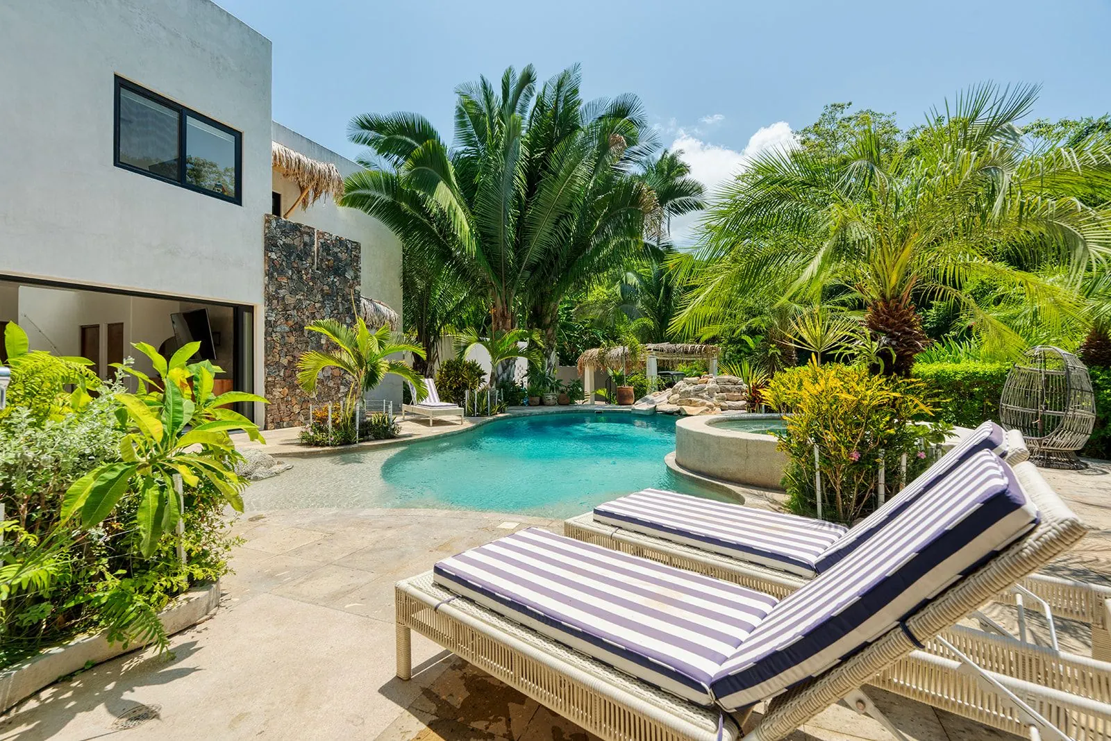 Pool and terrace surrounded by palms